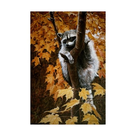 Ron Parker 'Up A Tree' Canvas Art,12x19